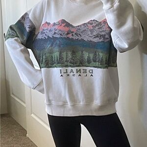 Abercrombie & Fitch Denali Alaska oversized graphic sweatshirt, large